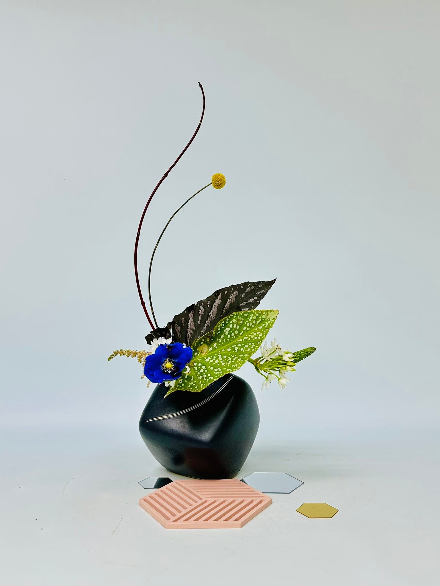 學生作品分享. #池坊#花道#自由花#Ikenobo #いけばな#Ikebana #Jiyuka 