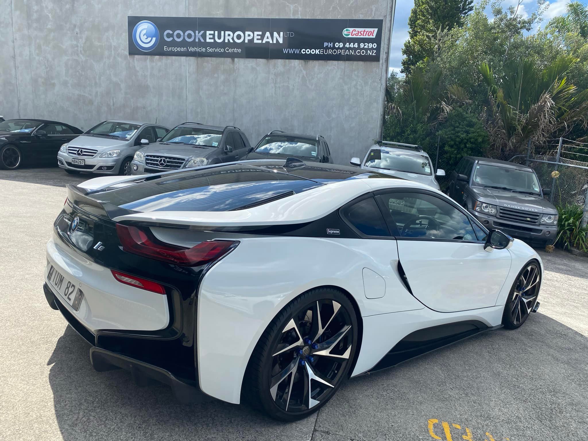 Cook European Ltd. | Auckland