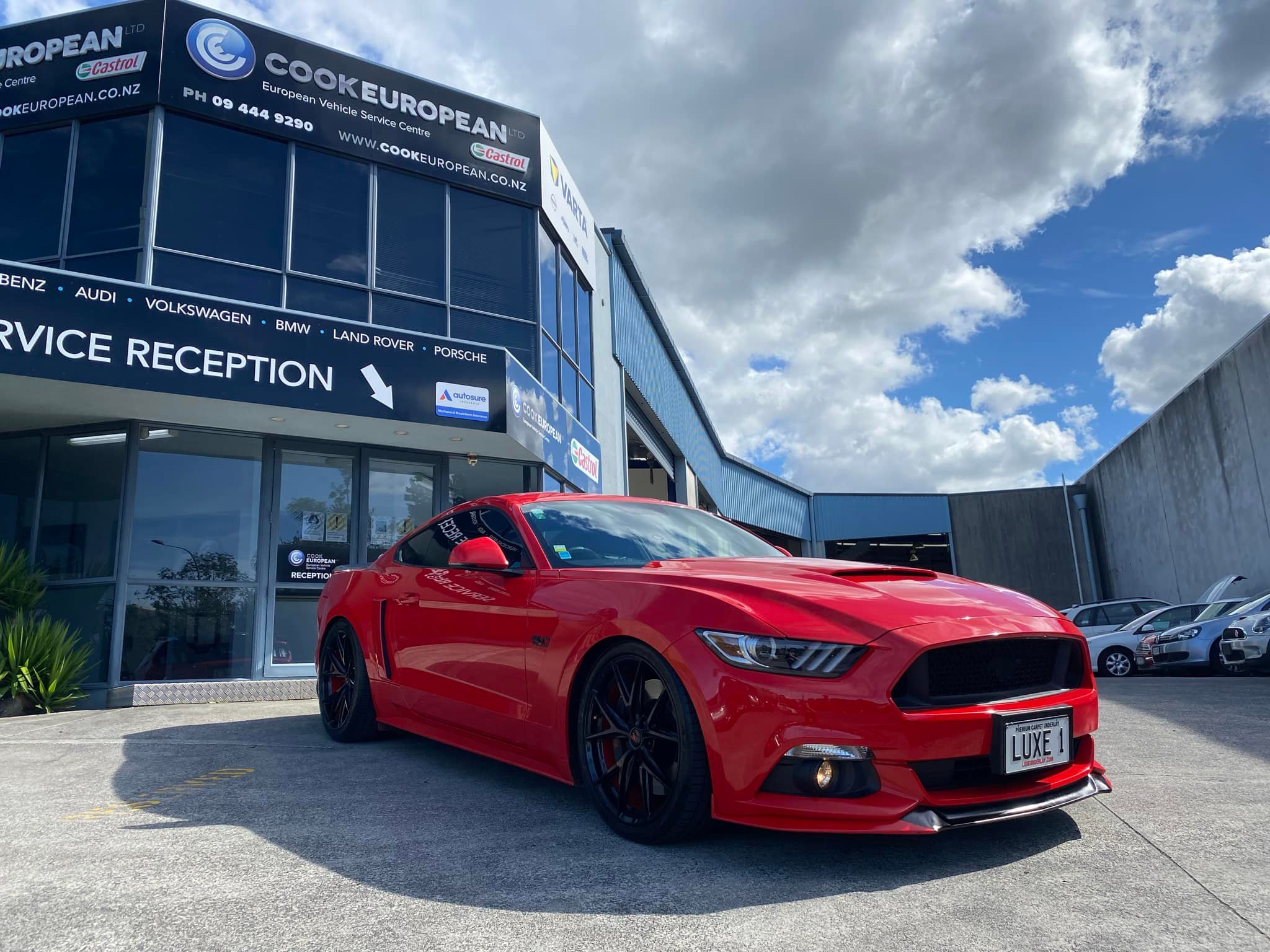 Cook European Ltd. | Auckland