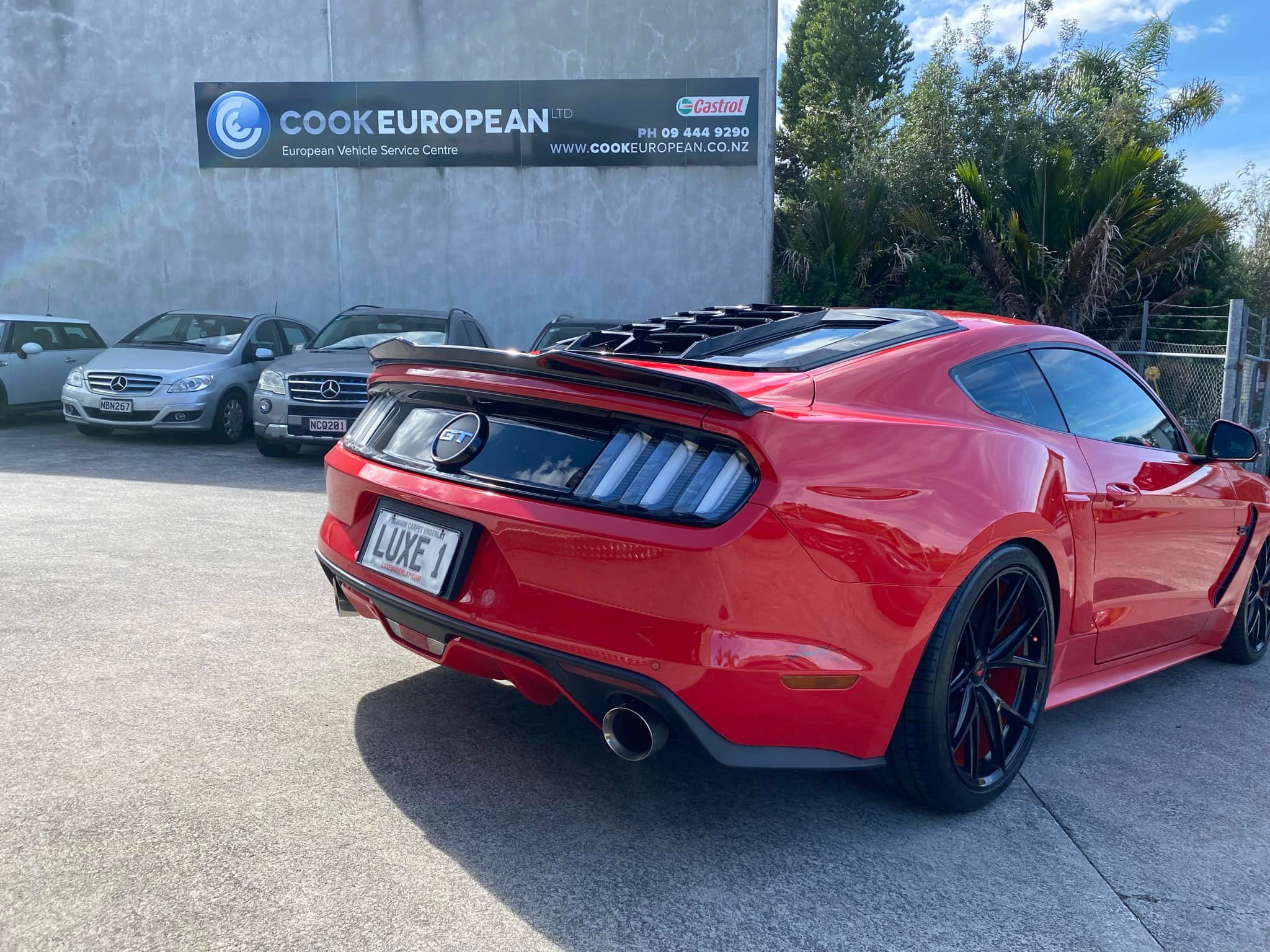 Cook European Ltd. | Auckland