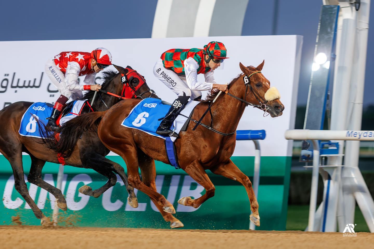 Leena, whose dam, Rudina, is a... - Arabian Jockey Club