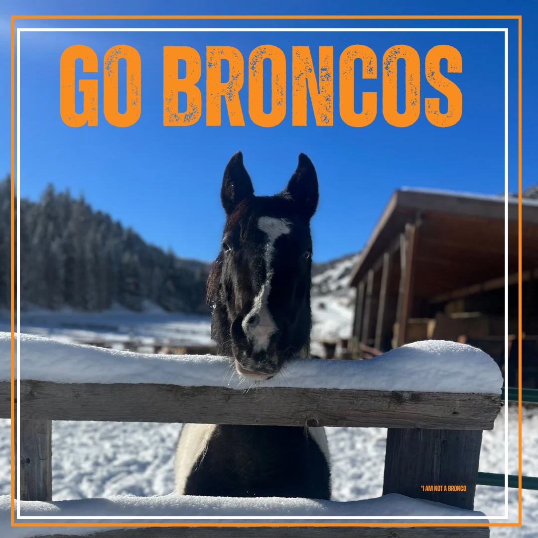 Copper Bar Ranch | Edwards CO