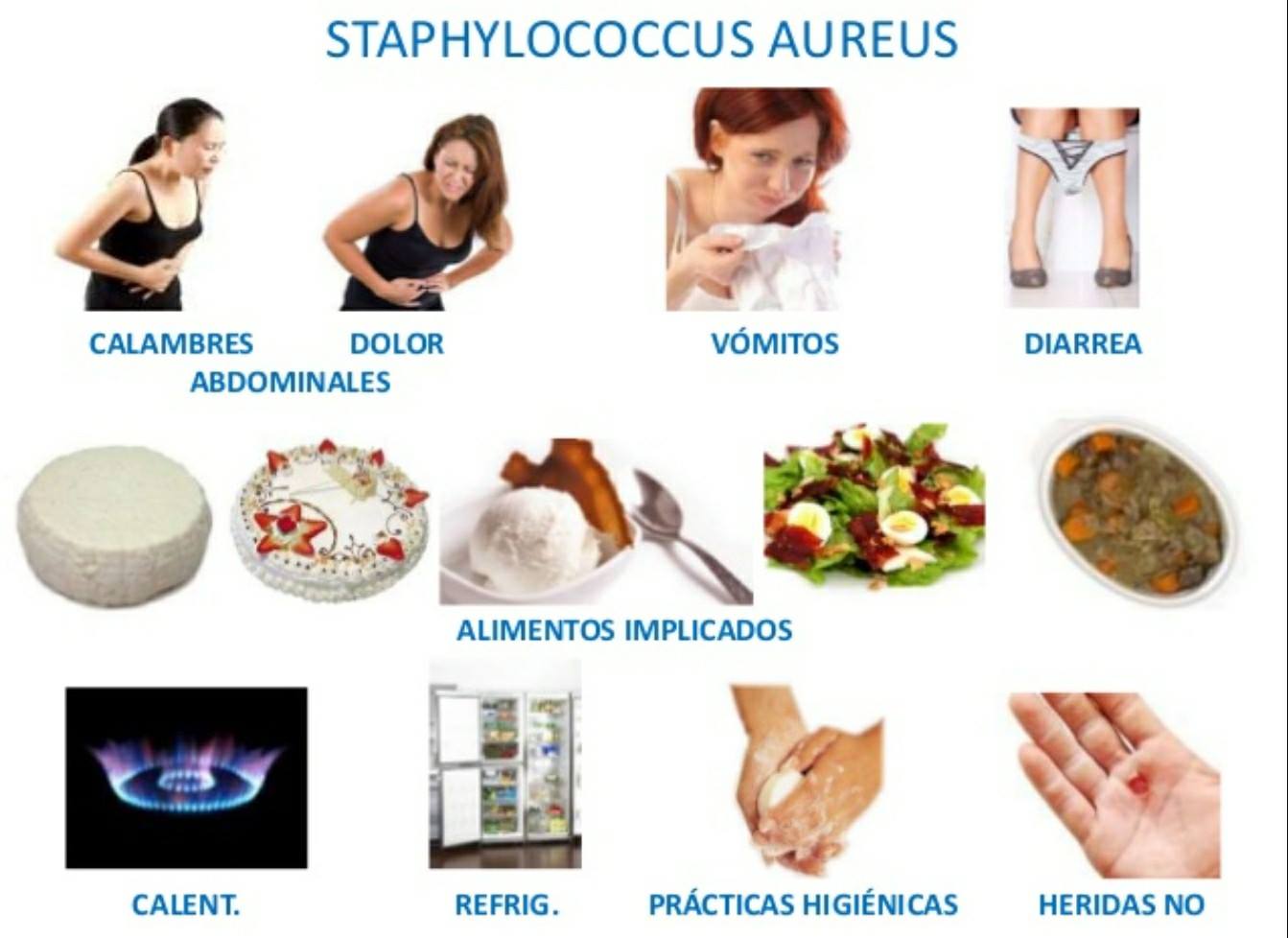 Ing. Industrias Alimentarias Arequipa - STAPHYLOCOCCUS AUREUS. Es una ...
