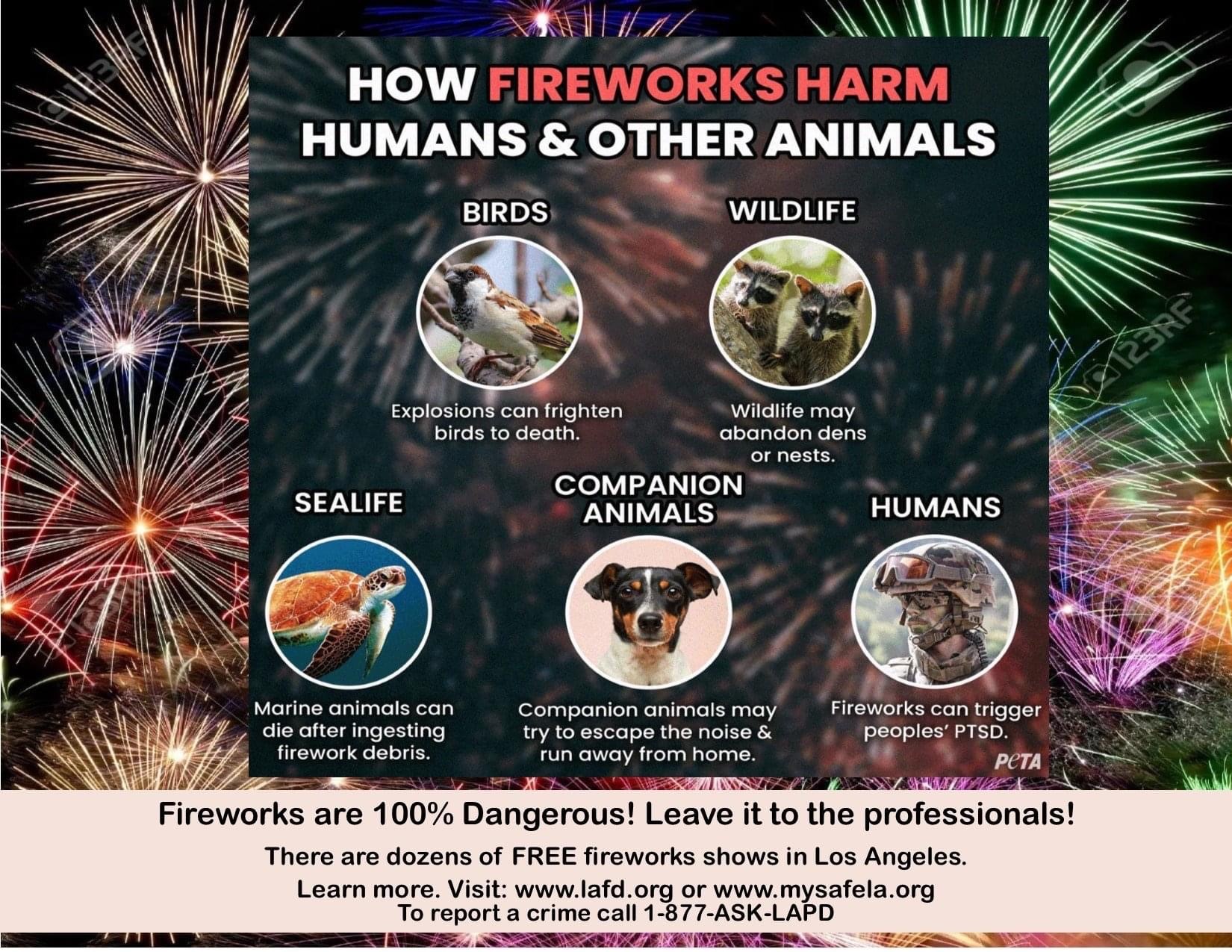 Fireworks... - LAPD Devonshire Community Police Station
