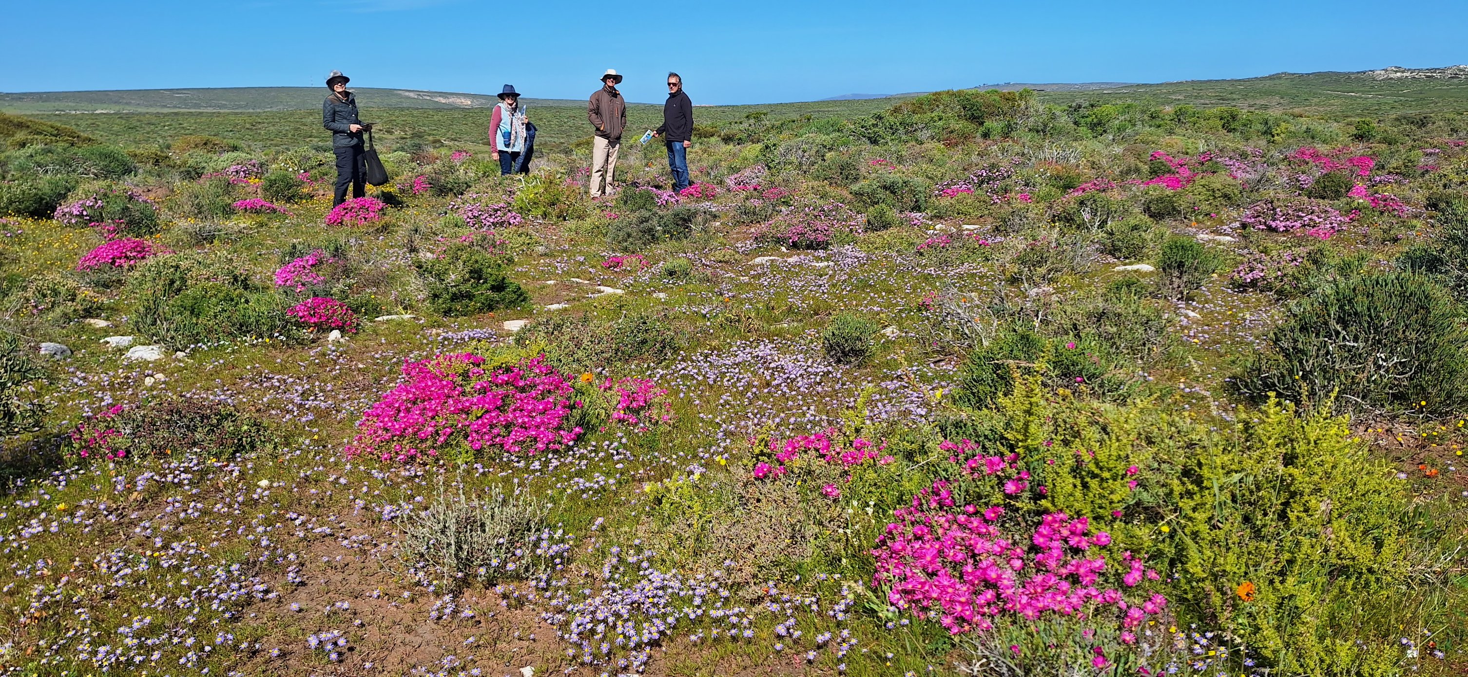 Jacobsbay Bio-Nature Reserve | Saldanha