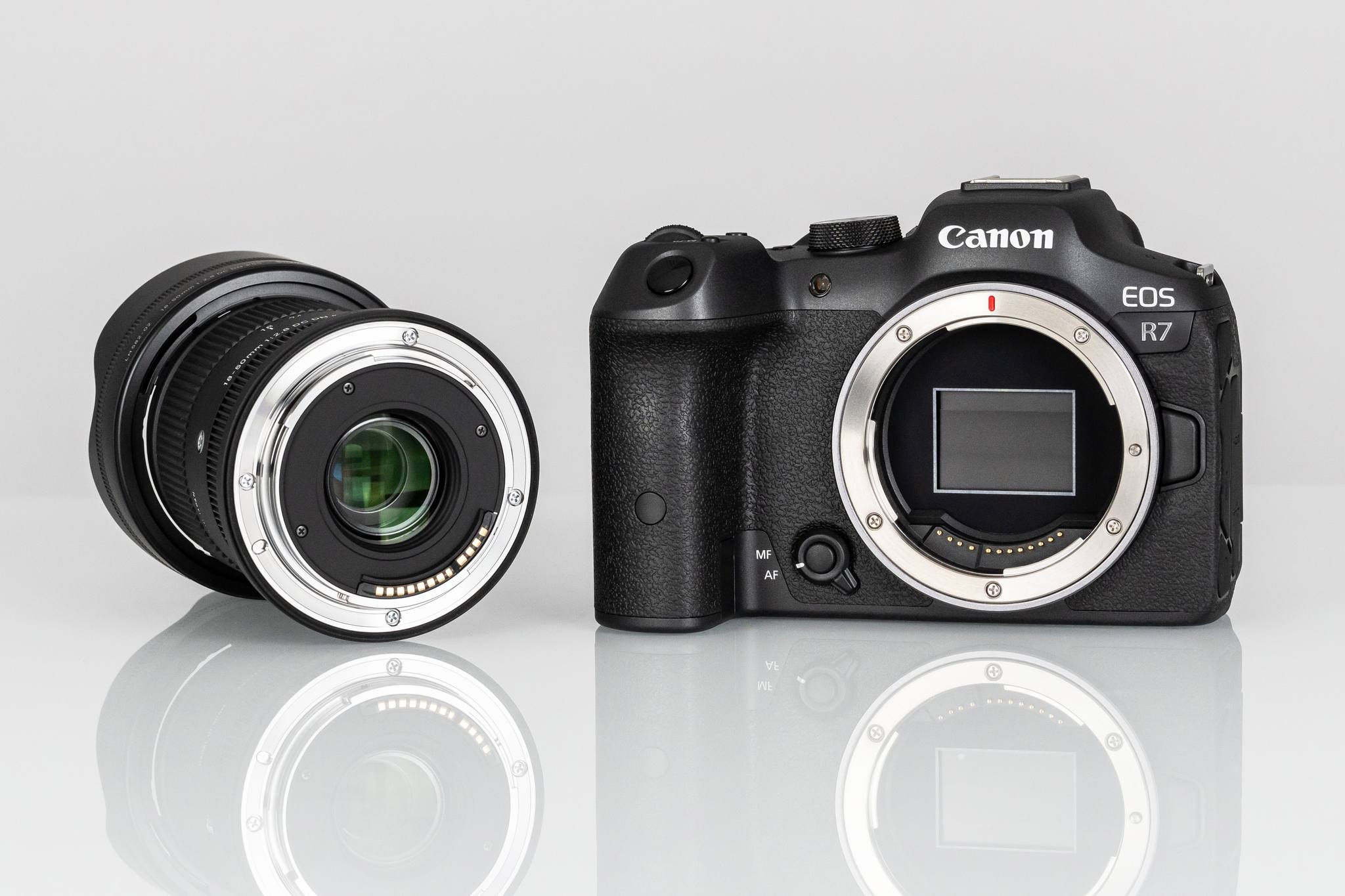Sigma 30mm f1.4 lens on Canon R50