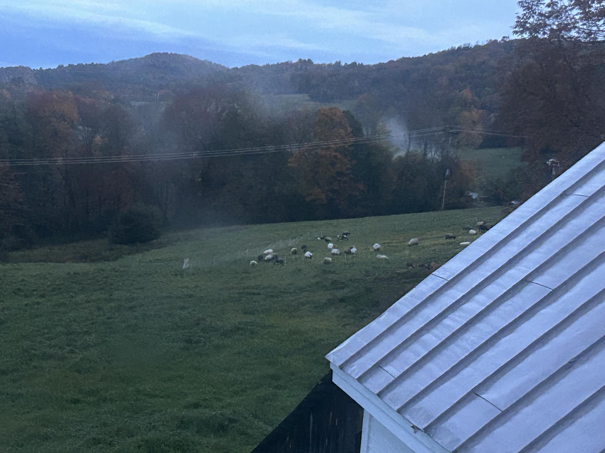 Wild Wind Farm - Vermont has steep hills and green fields.... | Facebook