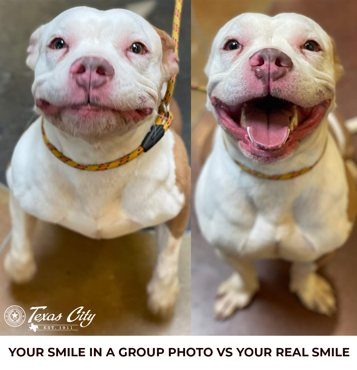 No matter which smile Rigatoni is... - City of Texas City