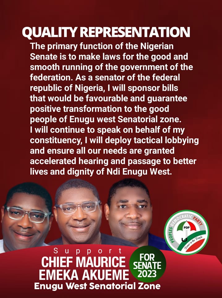 What is the Senate without QUALITY... - Maurice Emeka Akueme | Facebook