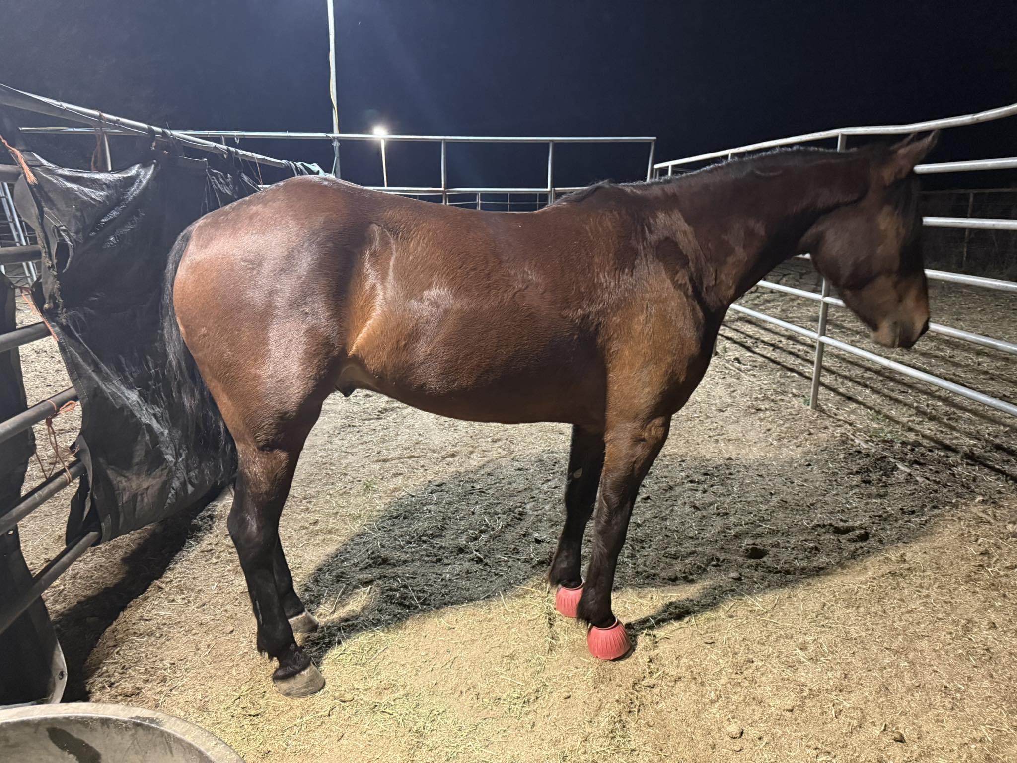 The Waymaker Ranch | Cleburne TX