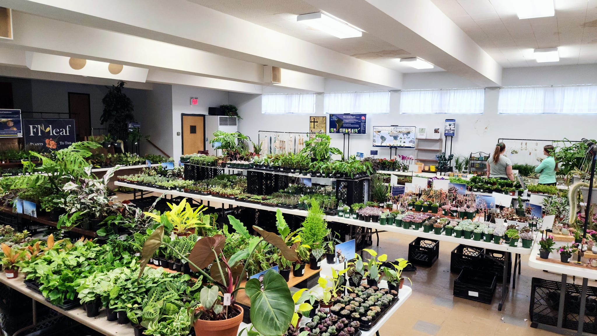 Plants People:... - Flyleaf Succulent & Tropical Plants