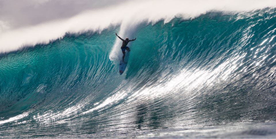 Wave Riding Vehicles, Haleiwa | Haleiwa HI