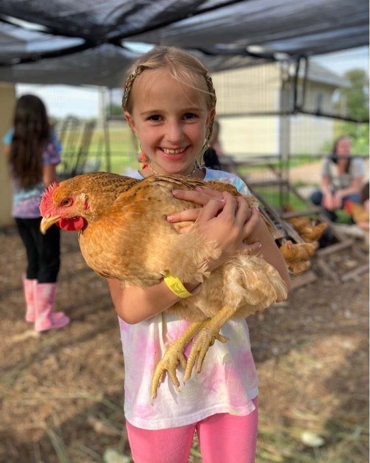Our Backyard Chicken Program begins A... - Strong Family Farm | Facebook
