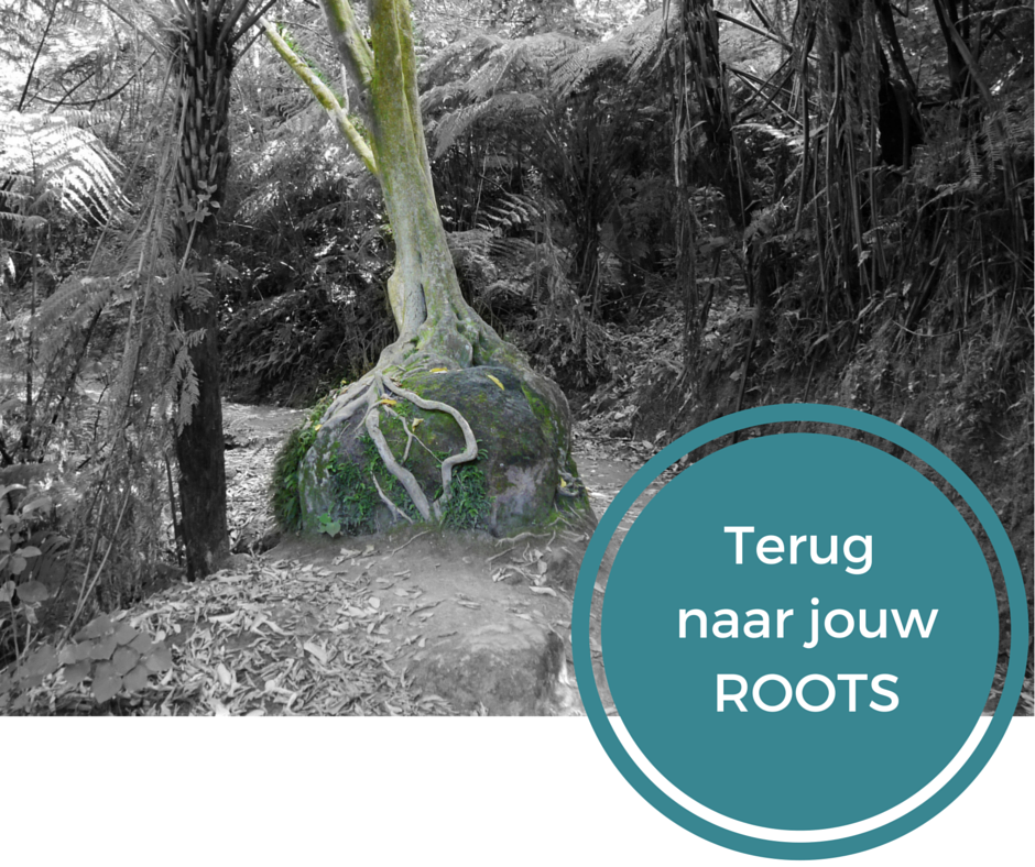 ROOTS - Waarom ik doe wat ik doe? Ik geloof dat als je jezelf bent en ...