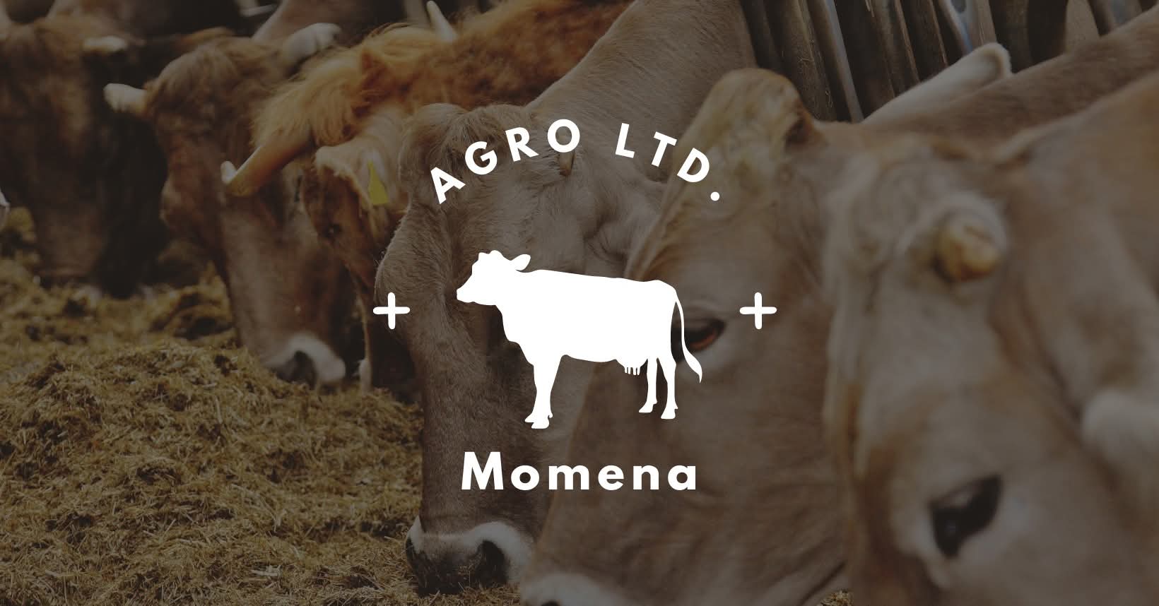 Momena Agro Ltd. | Jessore