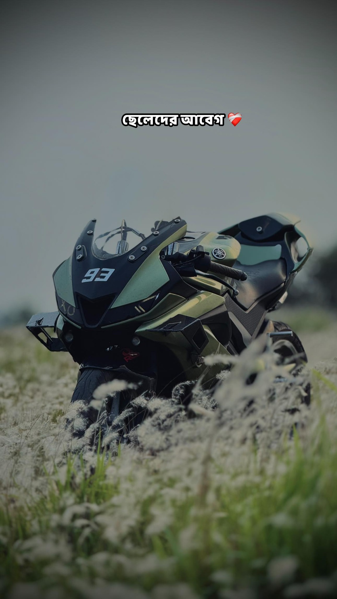 The TOXIC RIDER