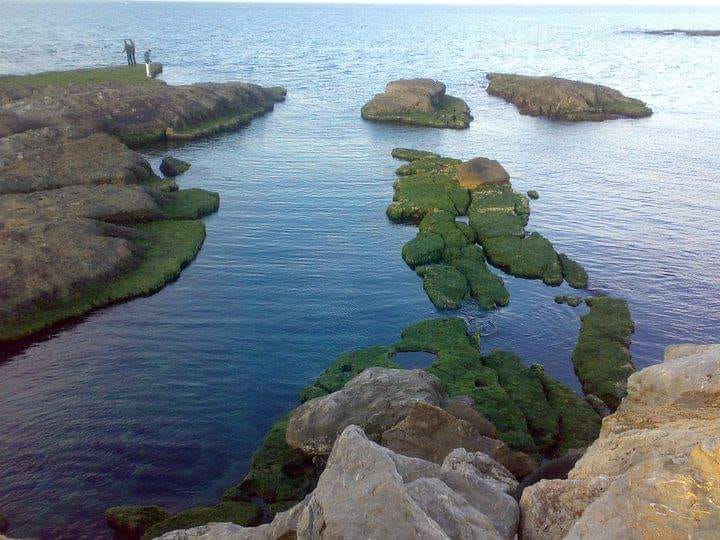 zemmouri-zemmouri-el-bahri-plage-zemmouri-el-bahri
