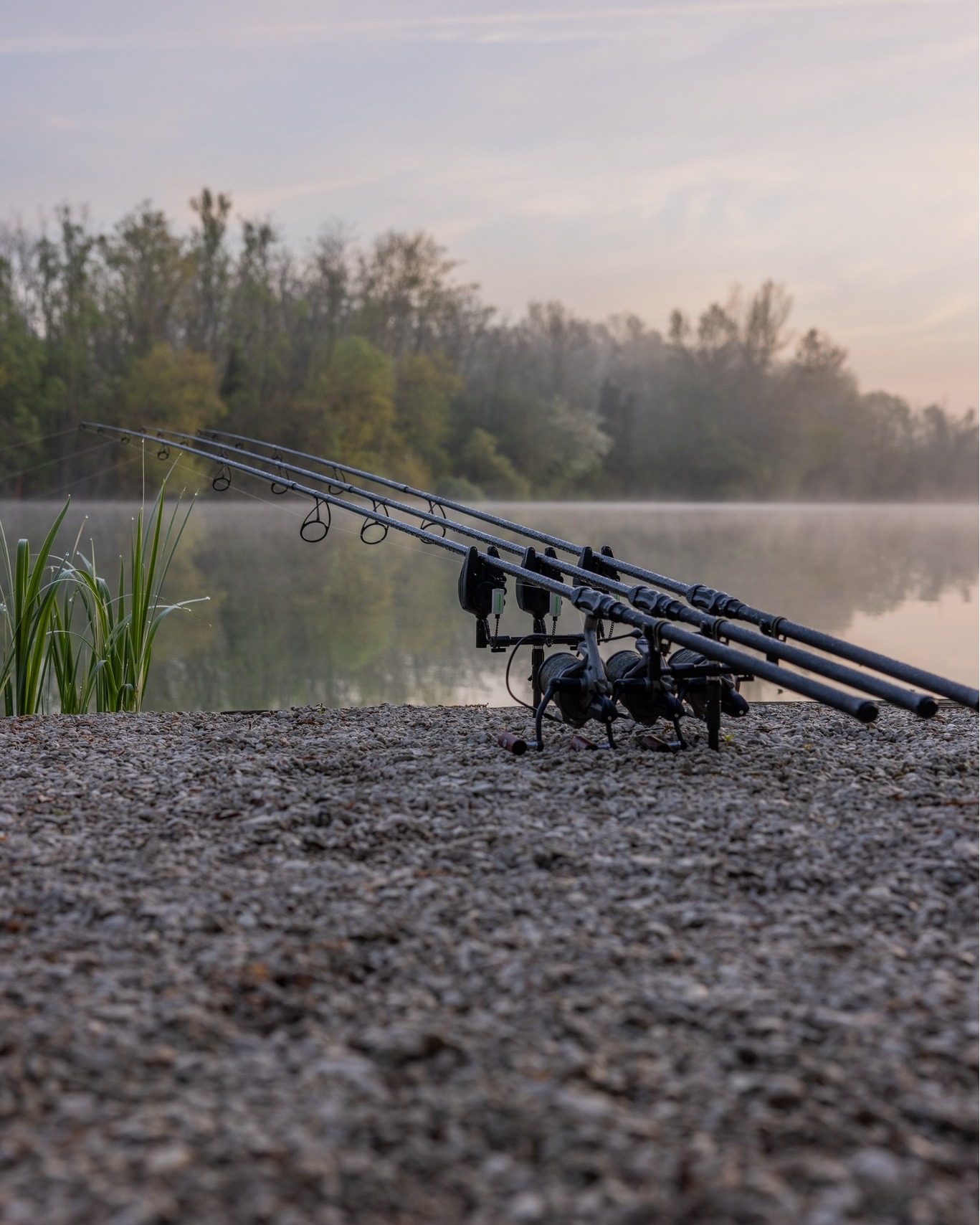 fish strike rod holders RH8420 Stainless Steel Fishing Holder Eagle Claw Ice Rod Holders 5/0 Boss Circle Hooks Name:Green Apple fighting battles