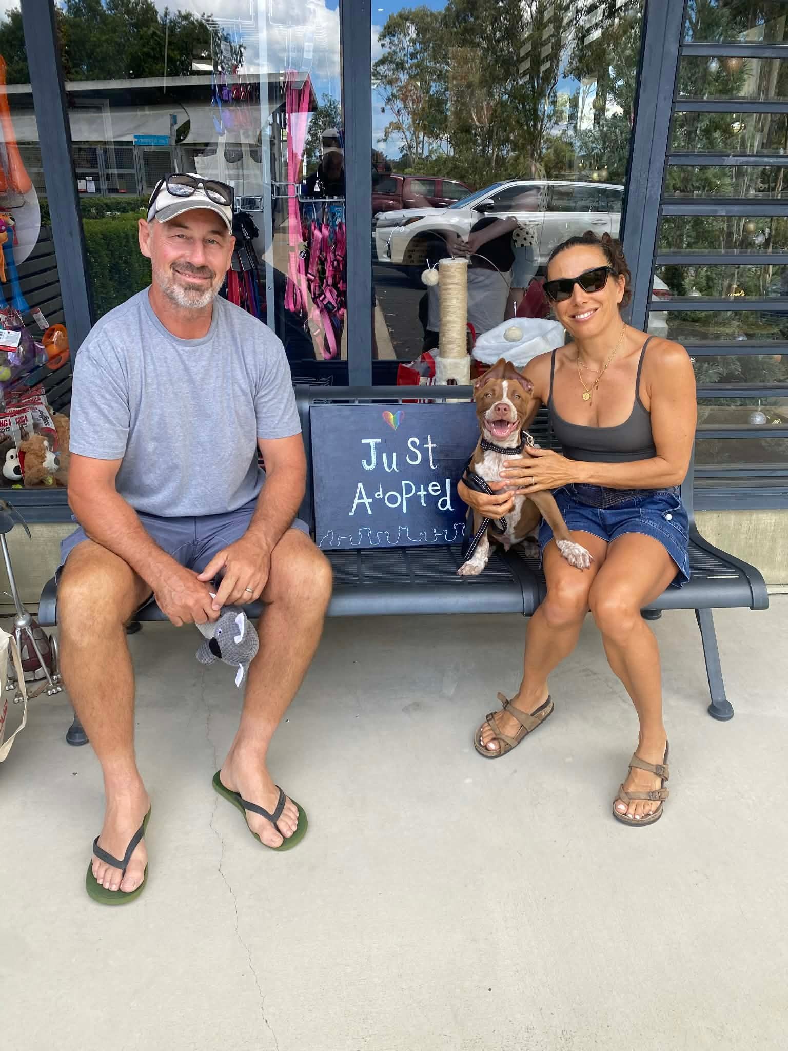 RSPCA - After seeing all his litter mates get adopted, it was finally ...