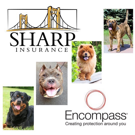 New carrier announcement!... - Sharp Insurance Agency, LLC | Facebook