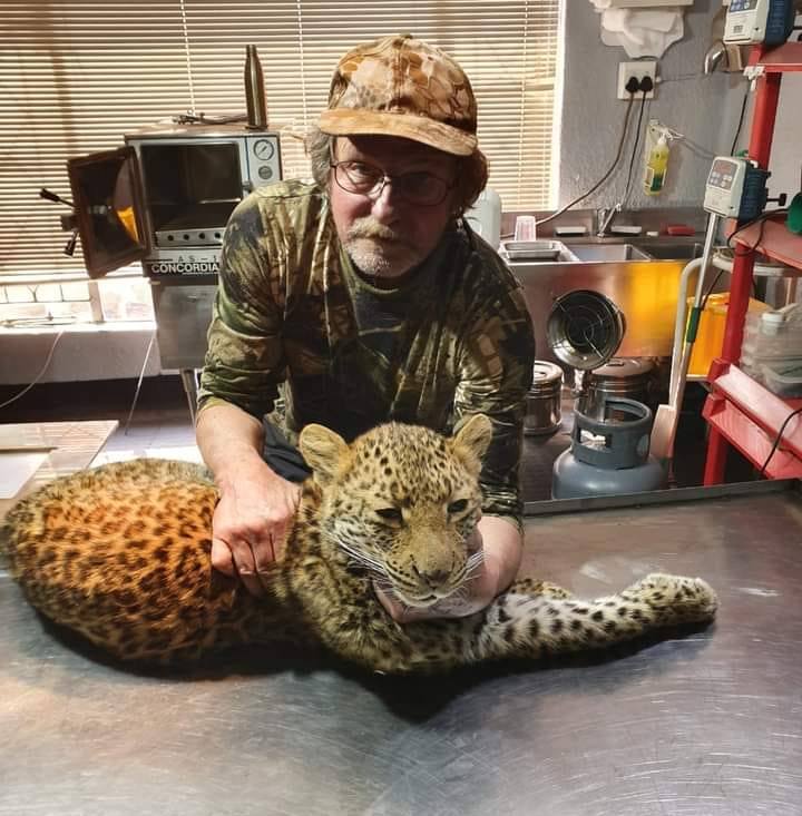 Nigel Animal Clinic | Nigel