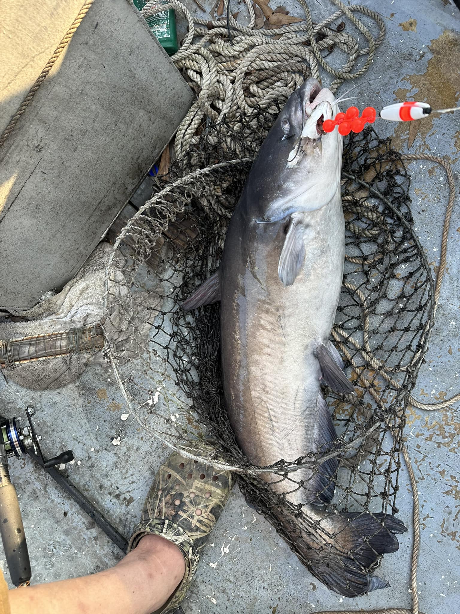 SWAMP STIXX Custom Rods