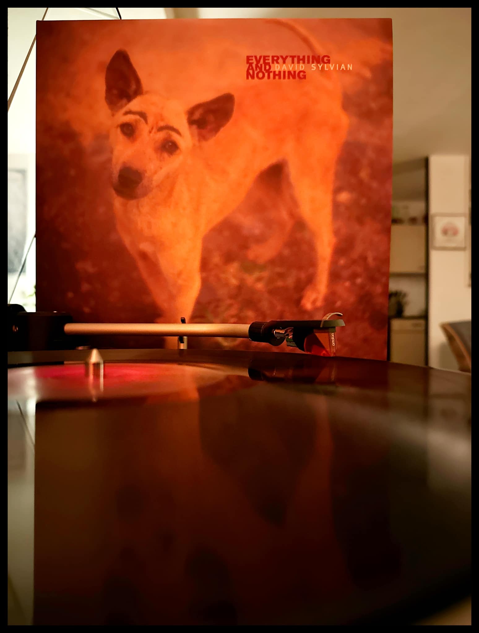 LIMITED | David Sylvian - Everything & Nothing: Vinyl 3LP Just