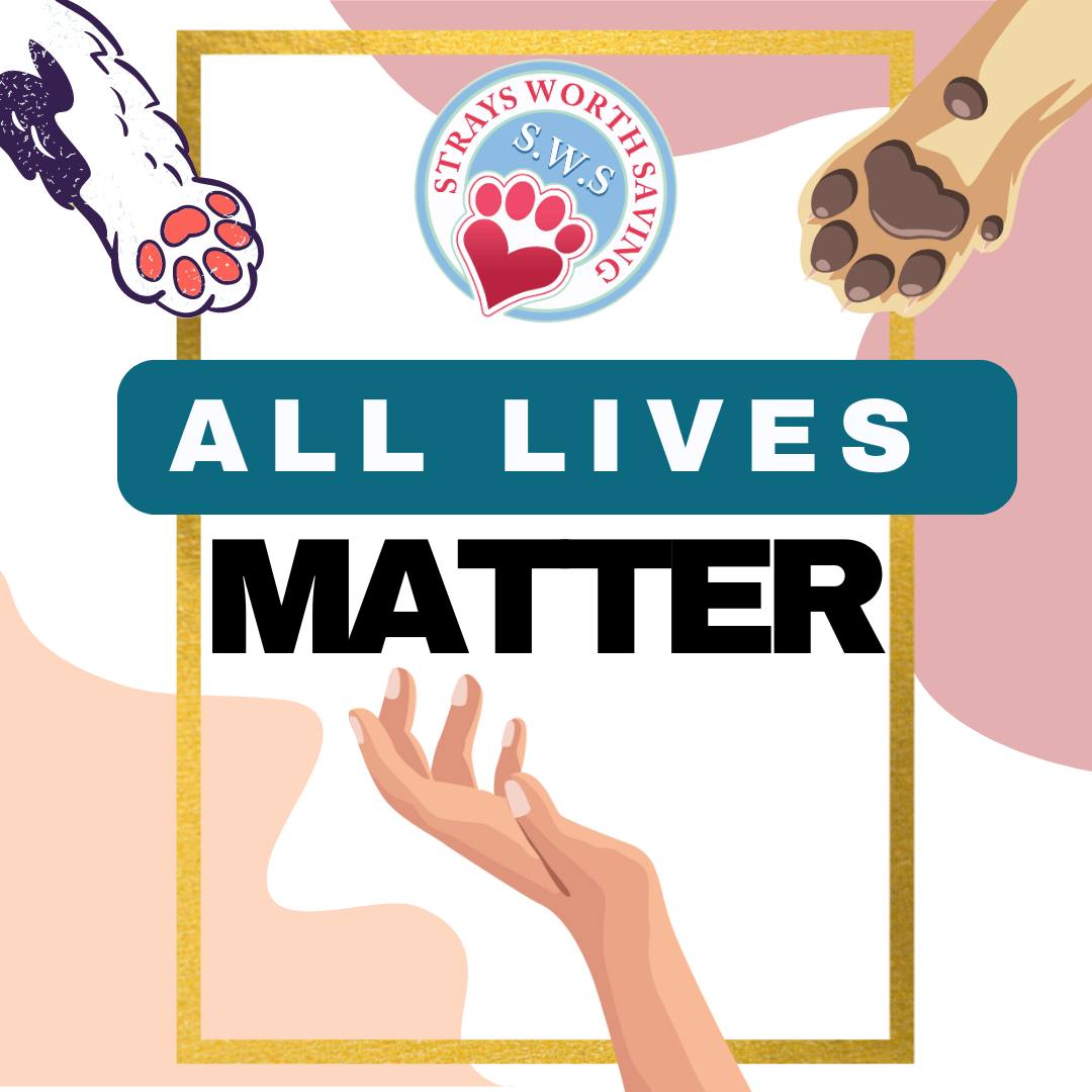 NO PETS LEFT BEHIND! At a... - Strays Worth Saving - SWS