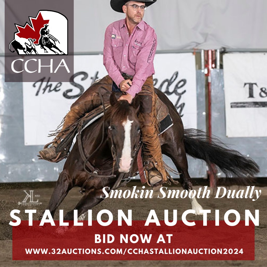 Canadian - 𝟐𝟎𝟐𝟒 𝐂𝐂𝐇𝐀 𝐒𝐭𝐚𝐥𝐥𝐢𝐨𝐧 𝐀𝐮𝐜𝐭𝐢𝐨𝐧 ⏰ 𝔽𝕖𝕓𝕣𝕦𝕒𝕣𝕪 𝟙 - 𝟙𝟝 ⭐️𝐒𝐭𝐚𝐥𝐥𝐢𝐨𝐧 ...