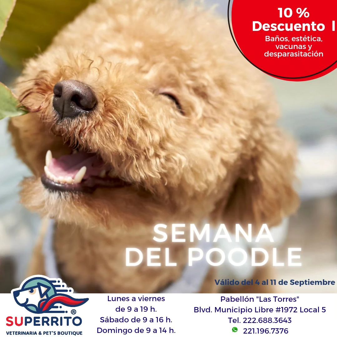 Superrito - A partir de este lunes inica la...