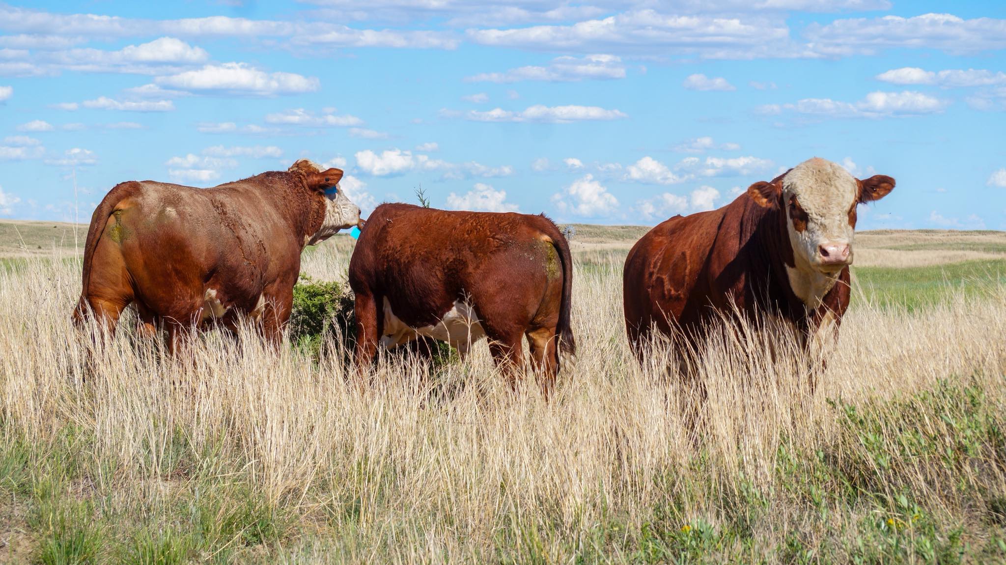 Hutton Ranch | Ainsworth NE