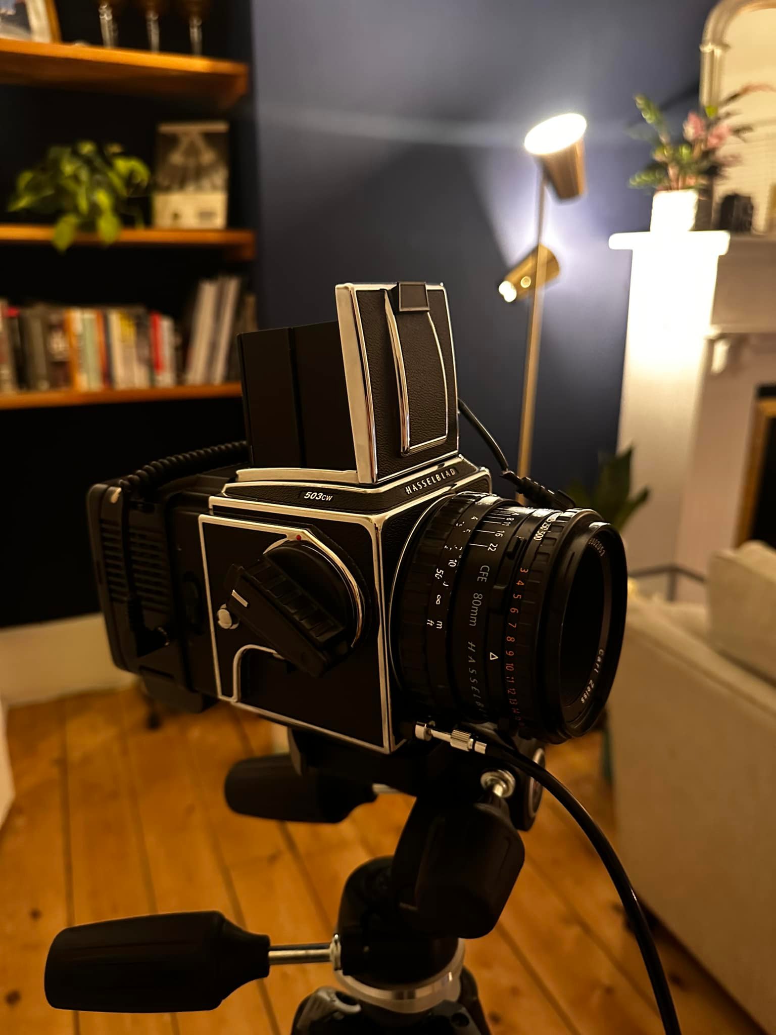 Recently got this leaf aptus 75 digital back with huge ccd sensor 