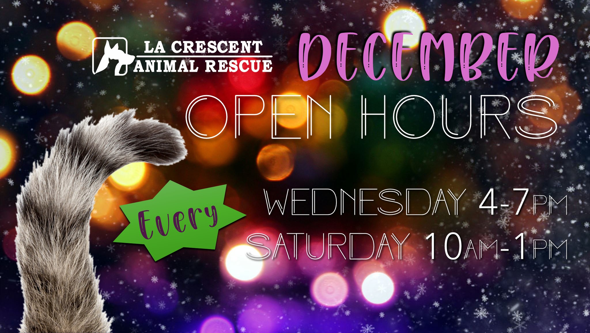 DECEMBER Open Hours