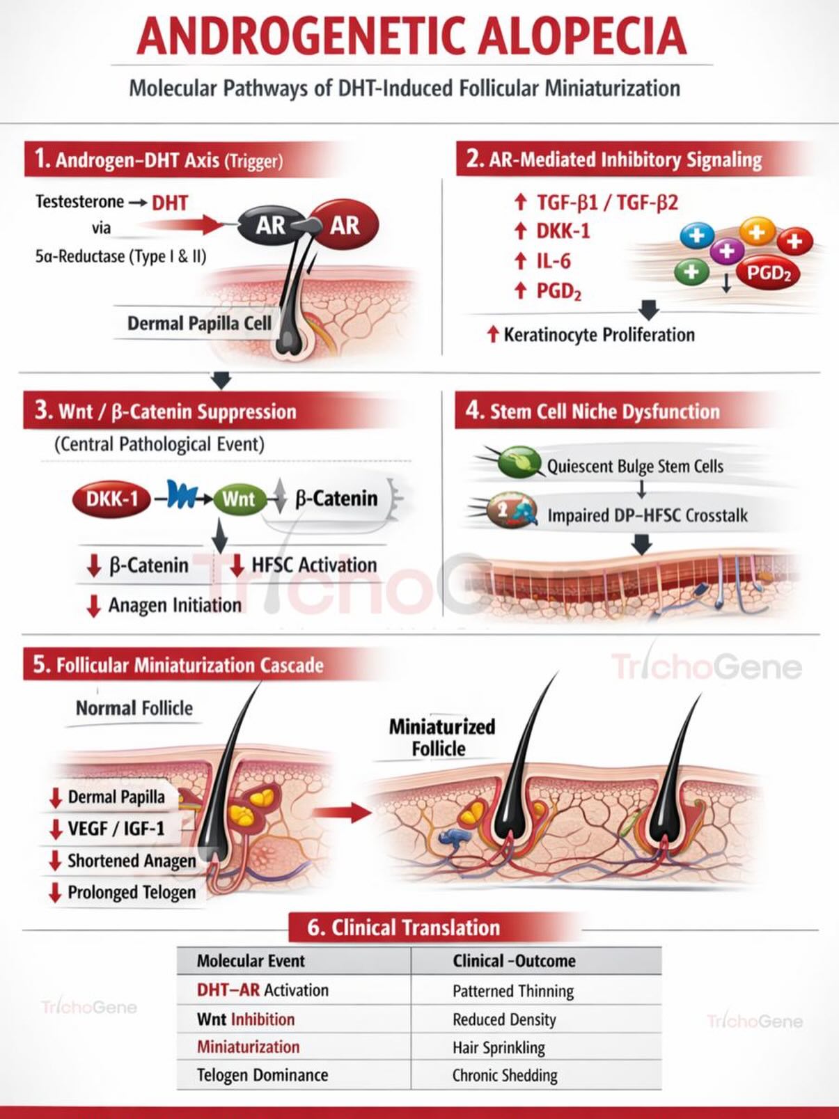 ghk-cu inhibits 5-alpha reductase dht hair loss Androgenetic Alopecia: It's a Signaling Disorder, Not Just Hair thinning in AGA begins at the molecular level. DHT–androgen receptor activation triggers inhibitory signals (TGF-β, DKK-1, PGD₂) that suppress the Wnt/β-catenin Injury Recovery Contains:1 sterile vial x 238 mg/0.0084 oz. vials. Cagrilintide 5mg | Research-Grade