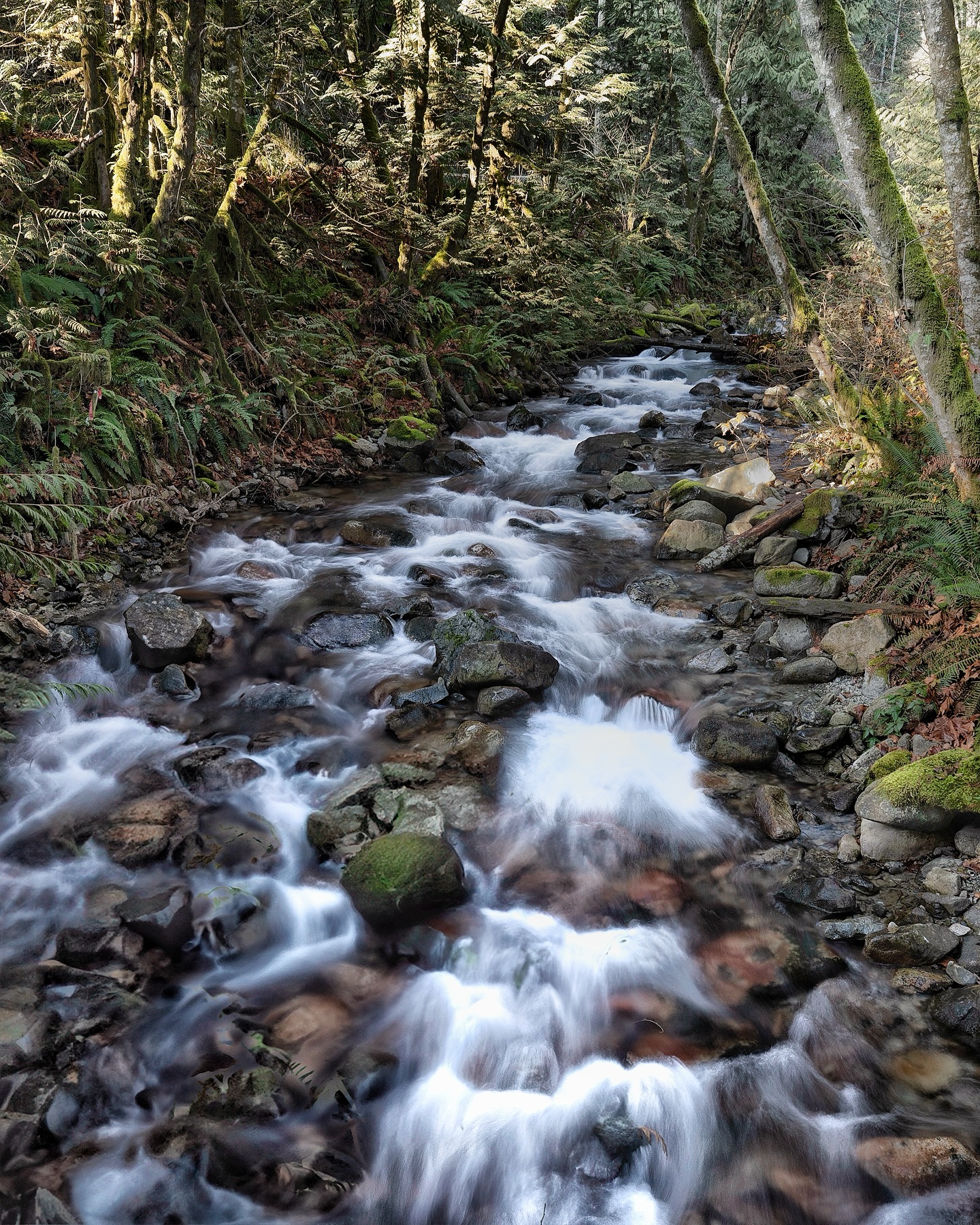 Galloping Down the Hill As I looked... - My Travelling Lens