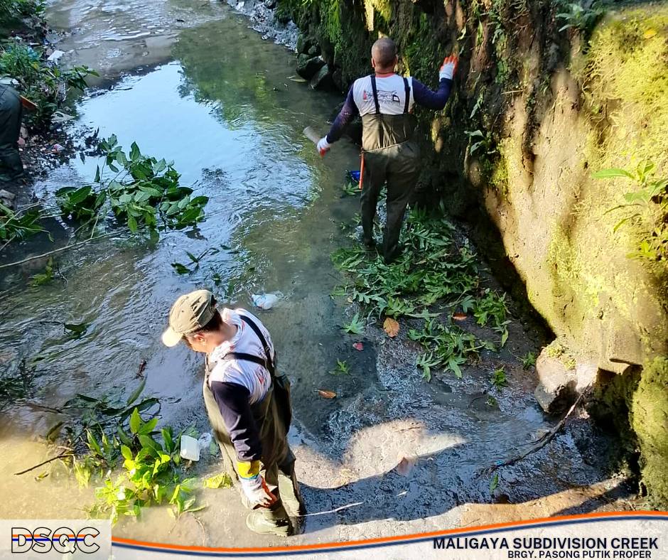 Department of Sanitation and Cleanup Works of Quezon City - Sa Diliman ...