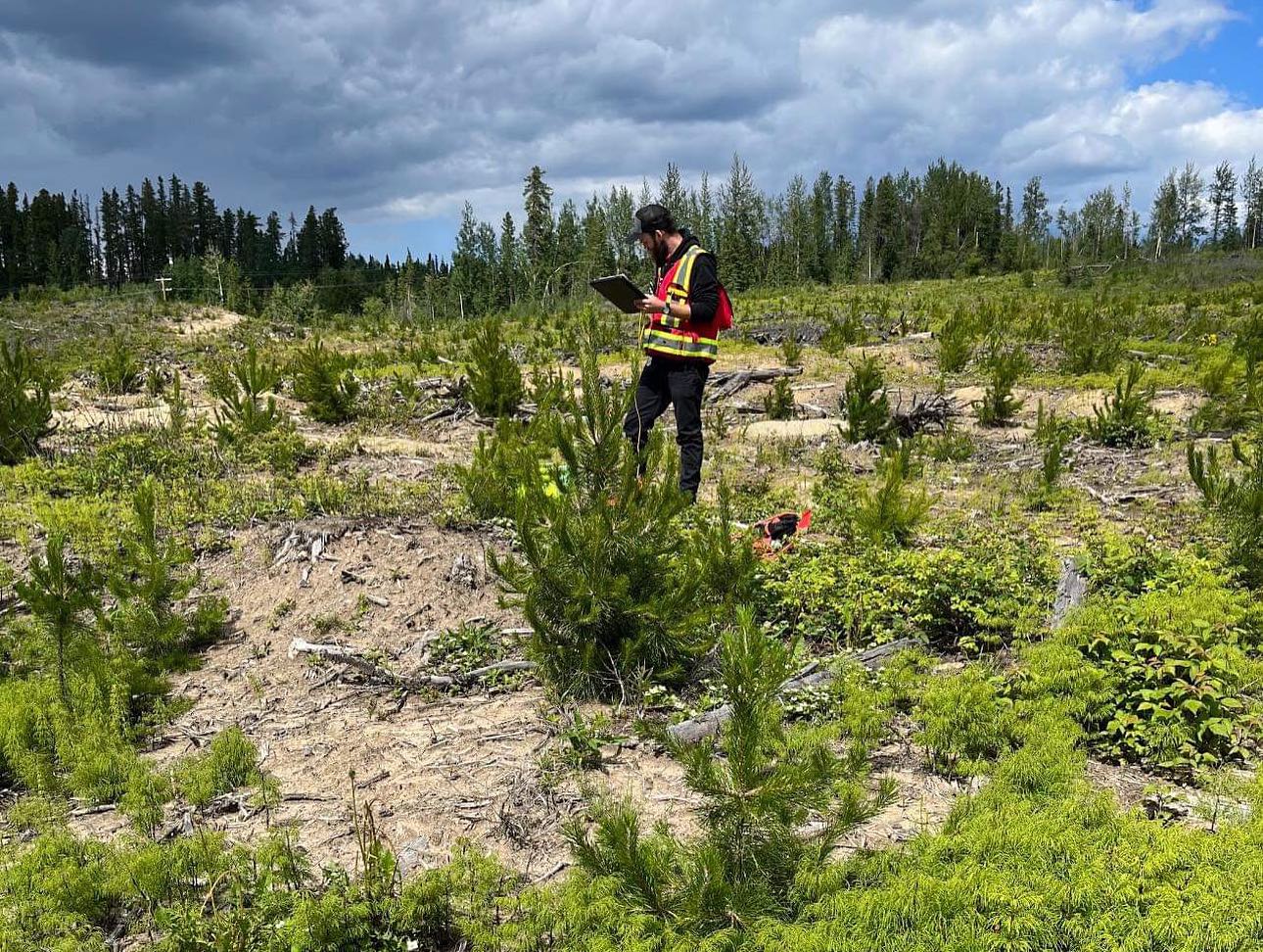 University of Alberta Forest Society | Edmonton AB