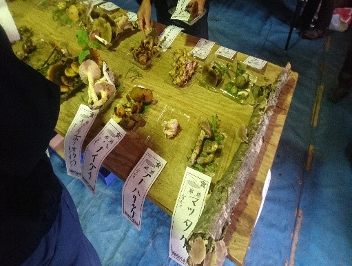 🍄きのこ展示・鑑定会🍄 きのこの知識が更に広がる「きのこの展示会