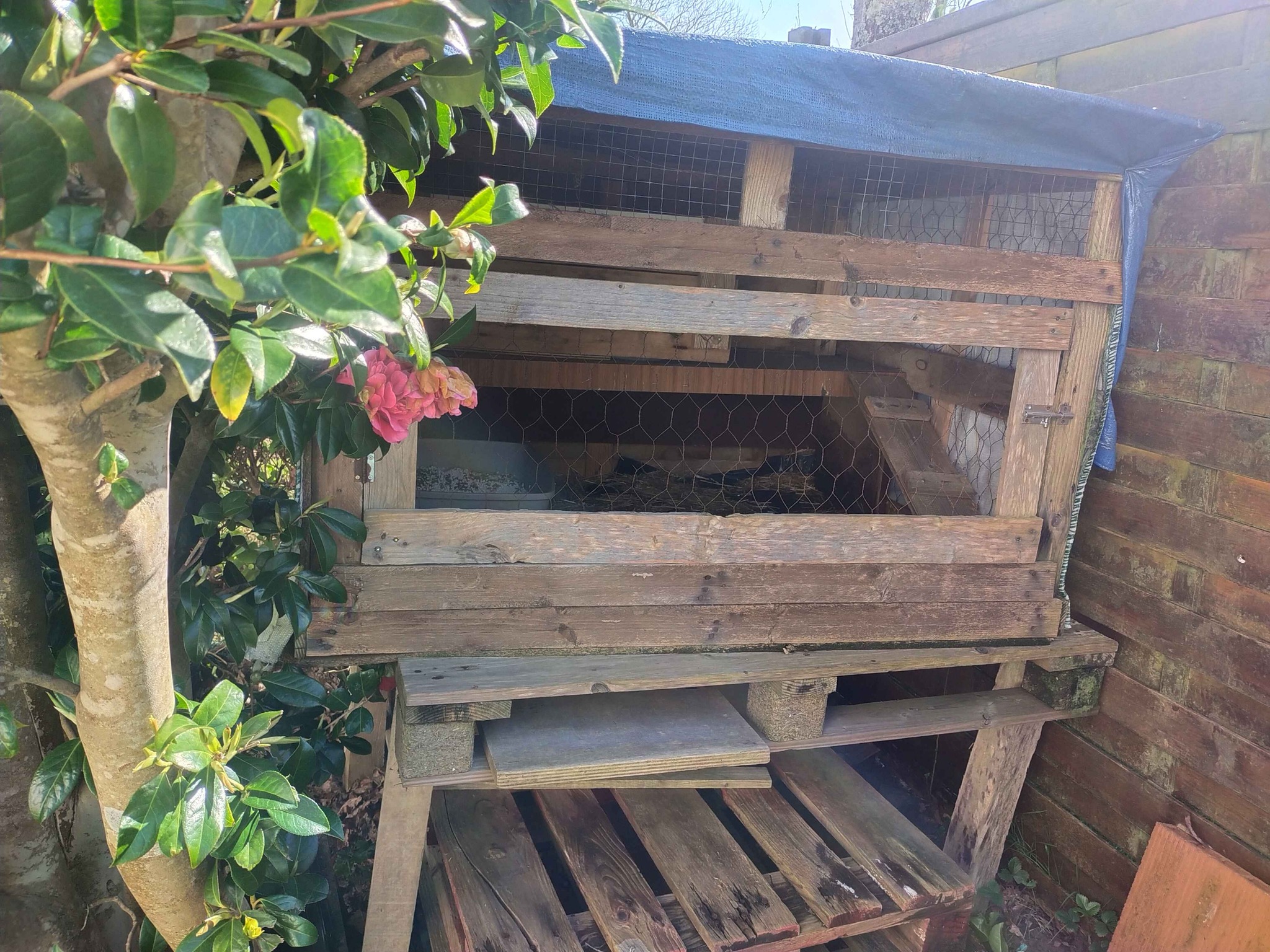 Grande Cage extérieure pour rongeur comme un lapin. - Pet Crates ...