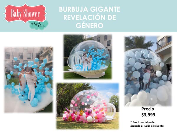 Un Gender Reveal sin... - Animadoras para Baby Shower • HE