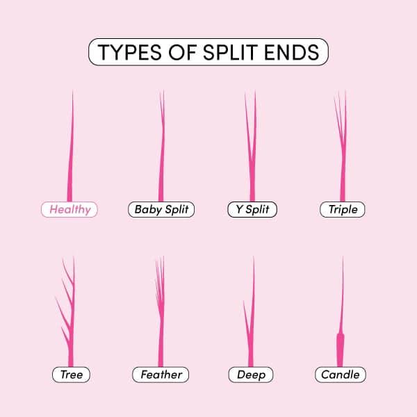 What Causes Split Ends? Which... - Rustic Roots Hair Studio | Facebook