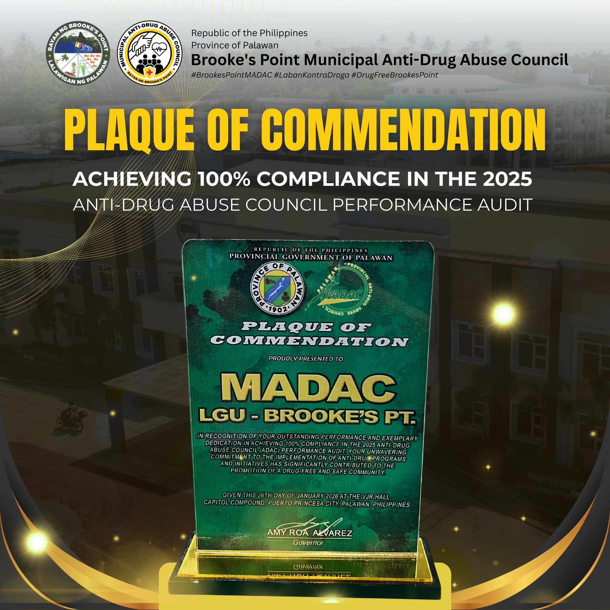 𝐁𝐑𝐎𝐎𝐊𝐄... - Brooke's Point - Municipal Anti-Drug Abuse Council | Facebook