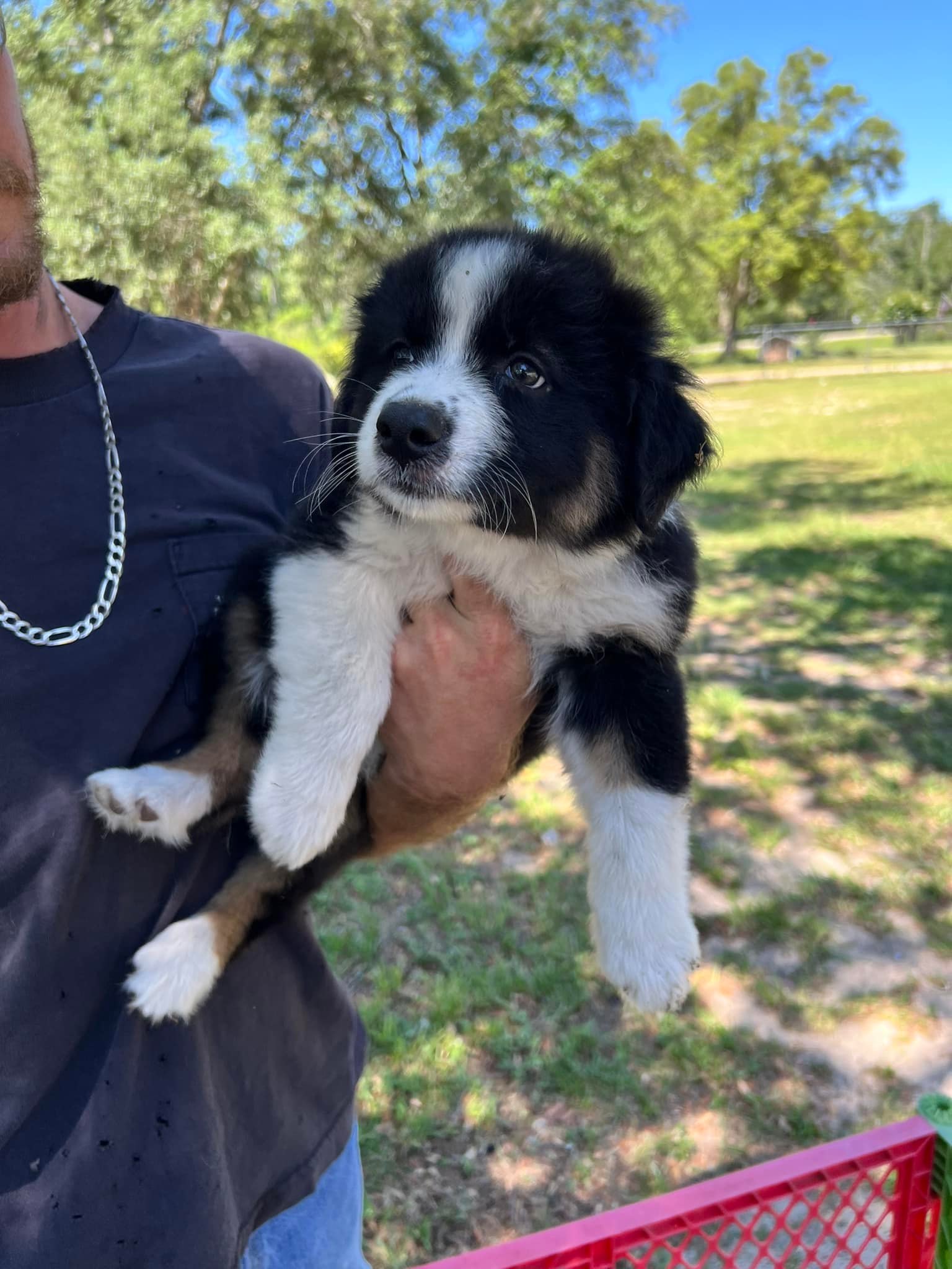 Rachel’s Rowdy Ranch added a new photo. - Rachel’s Rowdy Ranch