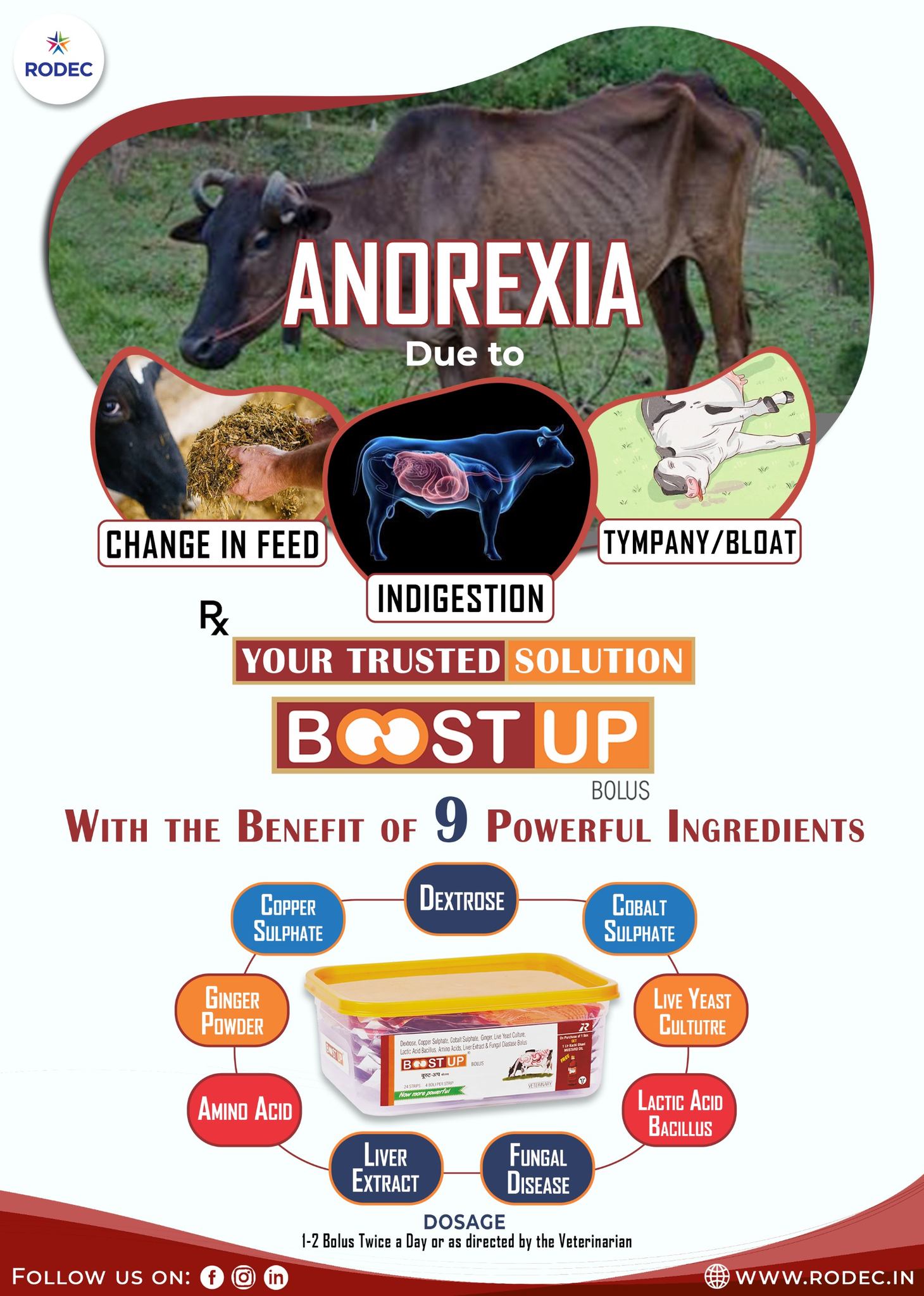 #BoostUPBolus #DairyAnimals #Anorexia - Rodec Pharmaceuticals