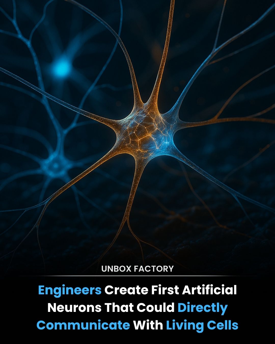 Unbox Factory - For the first time in history, scientists... | Facebook