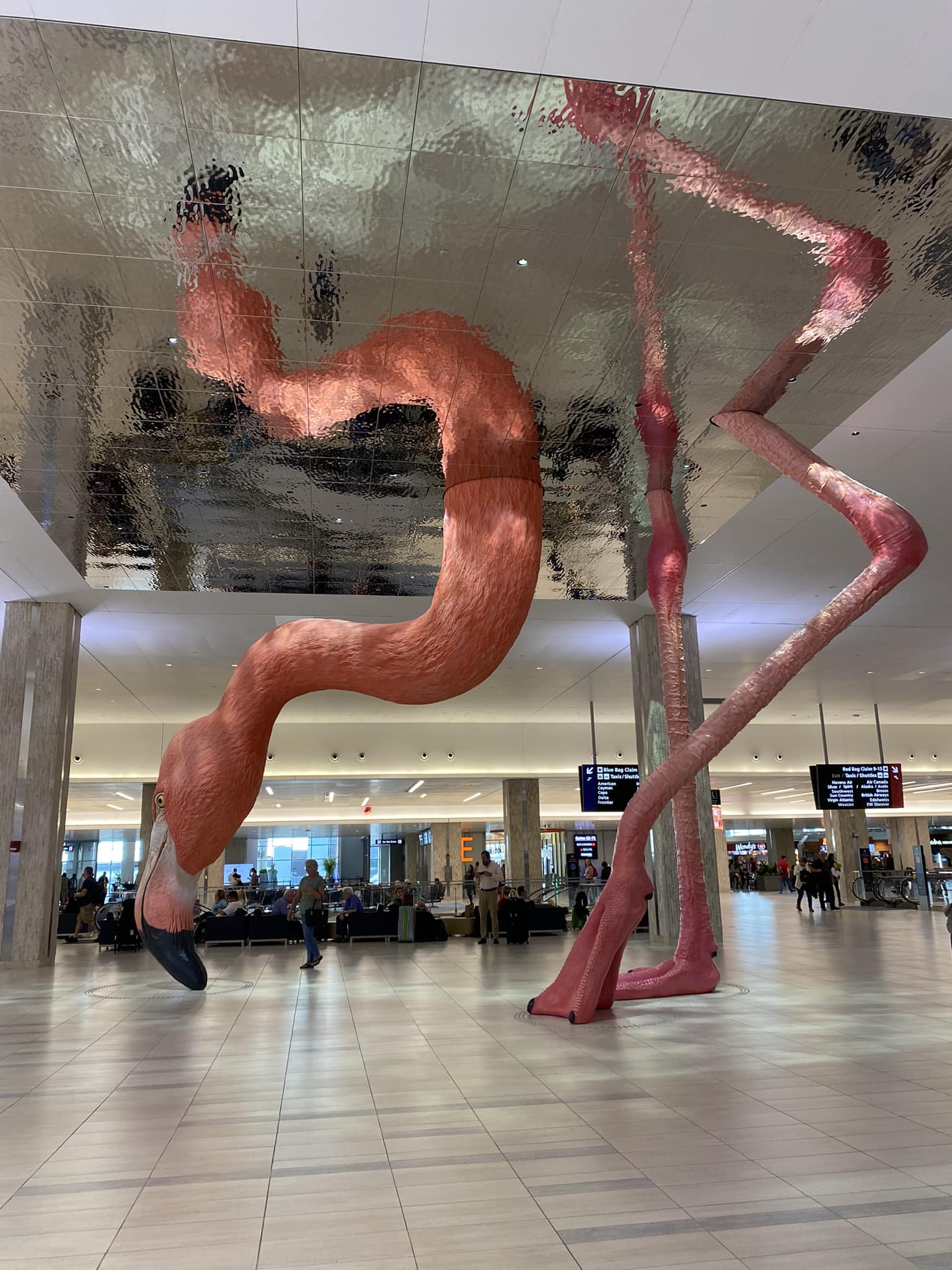 Meet me at the flamingo so I know it's real ❤️🦩