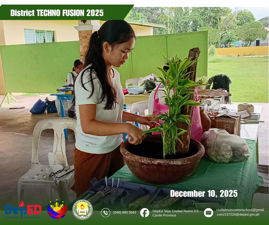 DepEd Tayo Ciudad Nuevo ES - Cavite Province | Naic