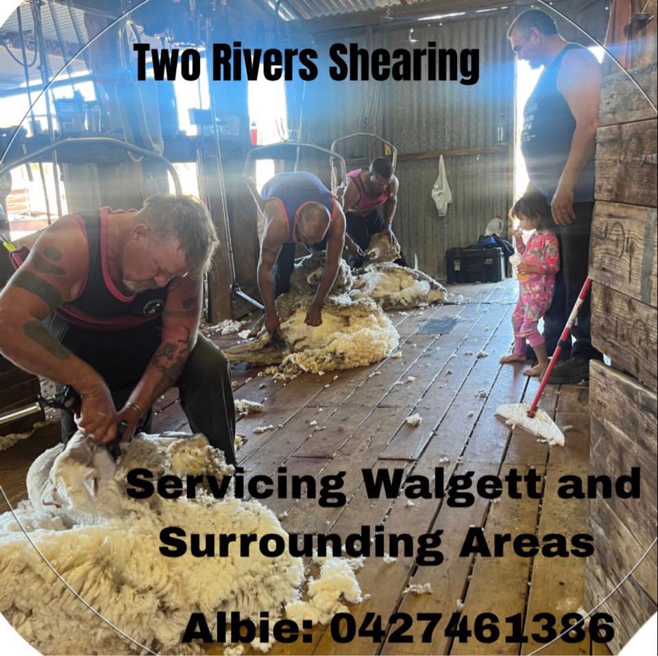Two Rivers Shearing | Walgett NSW
