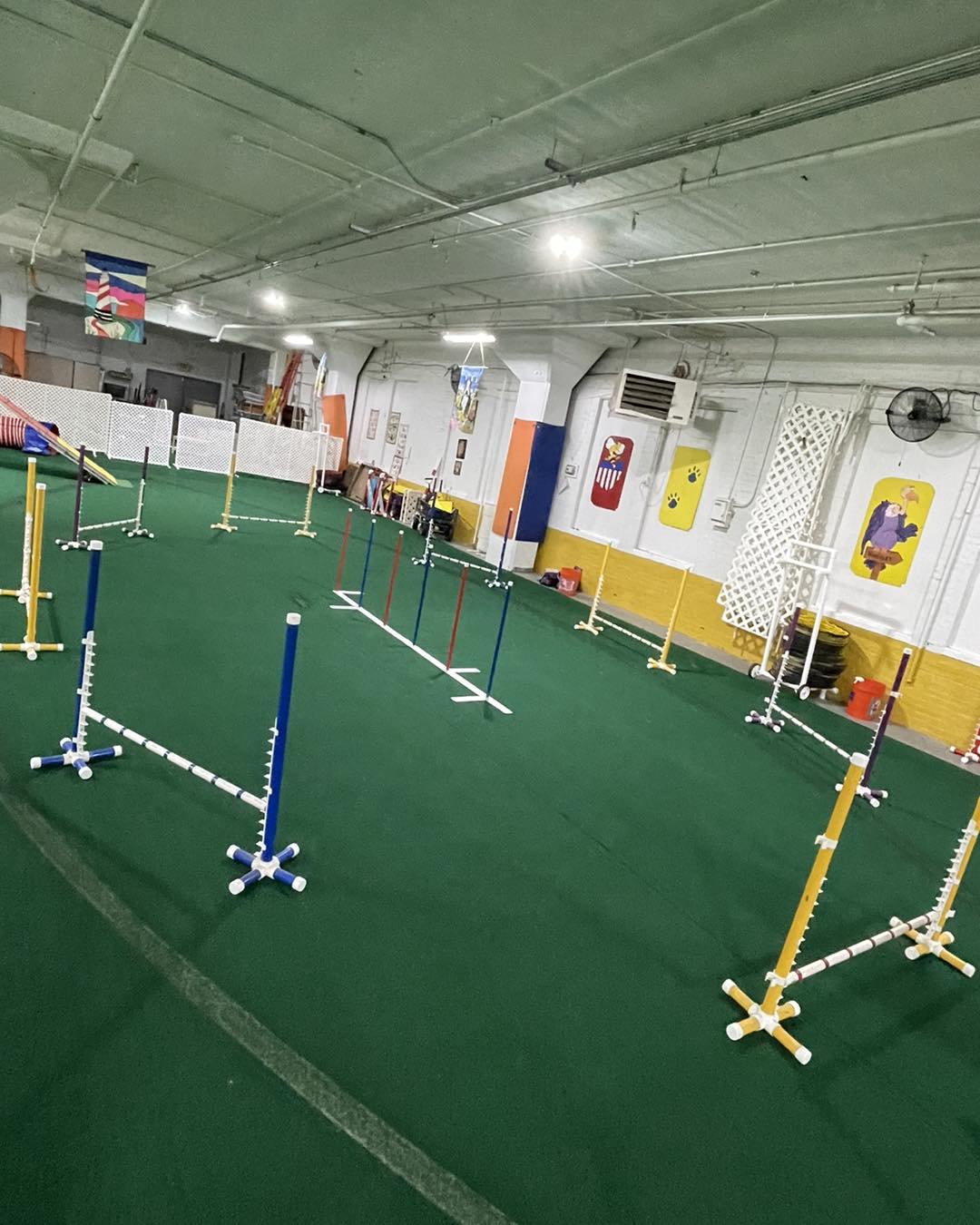 This is bull ring... - Medina Swarm Agility & Dog Training