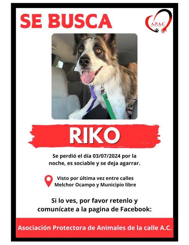 Asociación - 🚨🚨🚨🚨🚨SE BUSCA 🚨🚨🚨🚨🚨 Se cumple un día desde la ultima vez ...